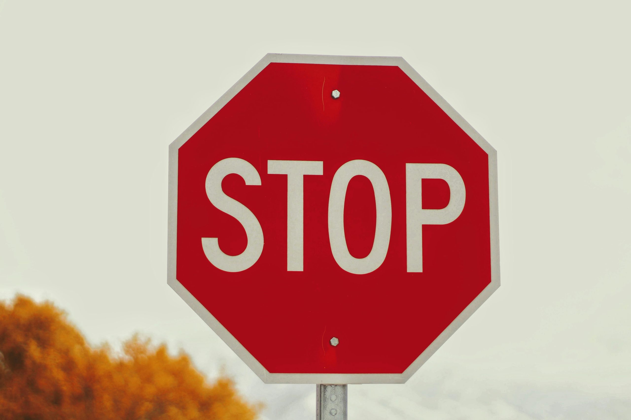 DRIVE Driving School stop sign